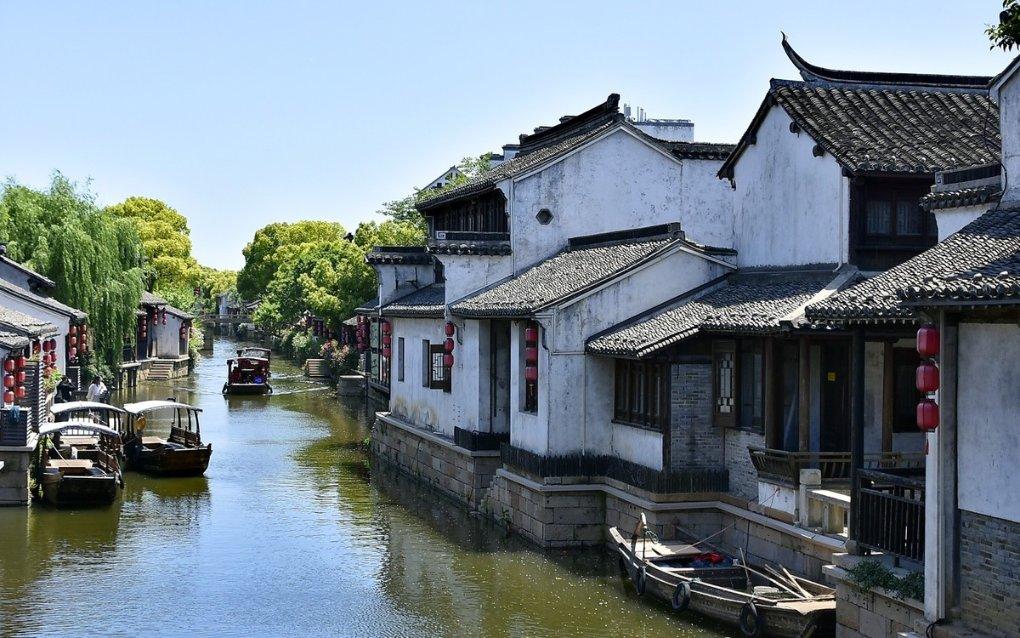 一枝独秀是什么意思？
